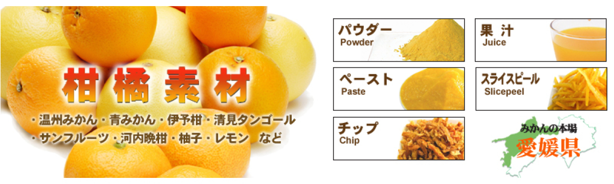 伊方サービス株式会社のイメージ画像