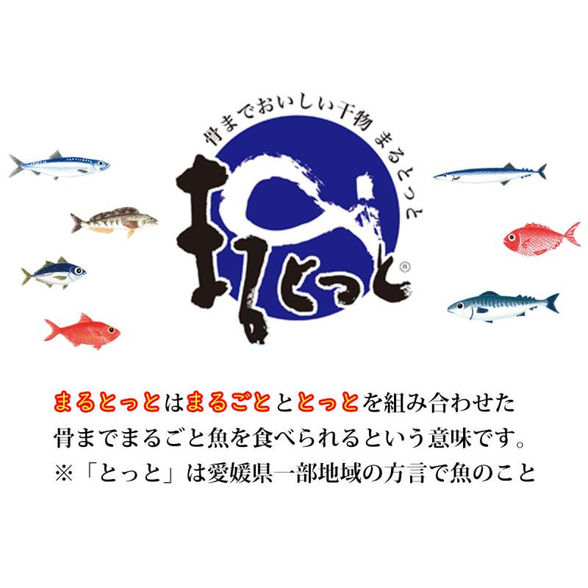 株式会社キシモト