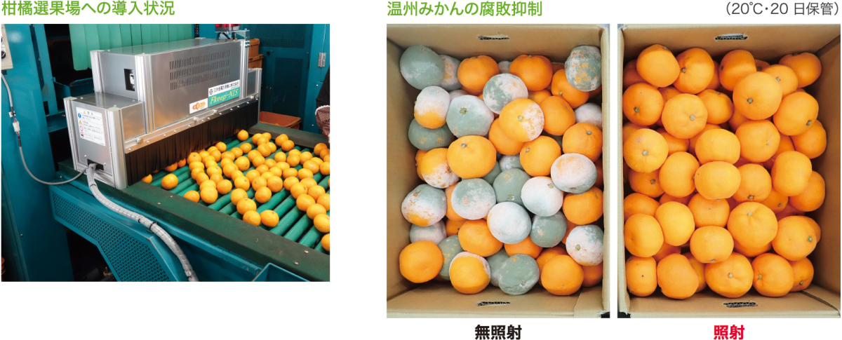 株式会社四国総合研究所のイメージ画像