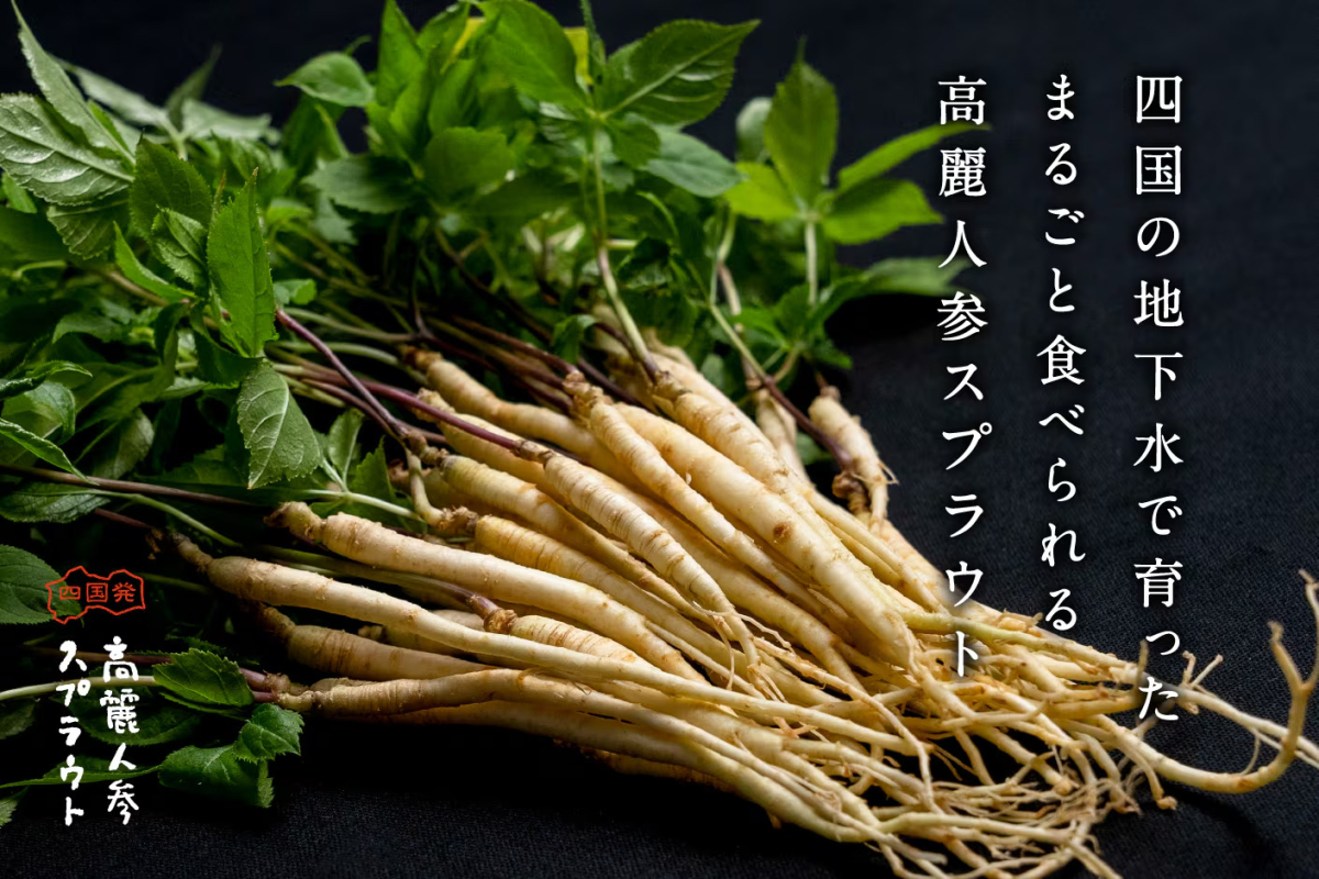 農業組合法人高瀬茶業組合のイメージ画像